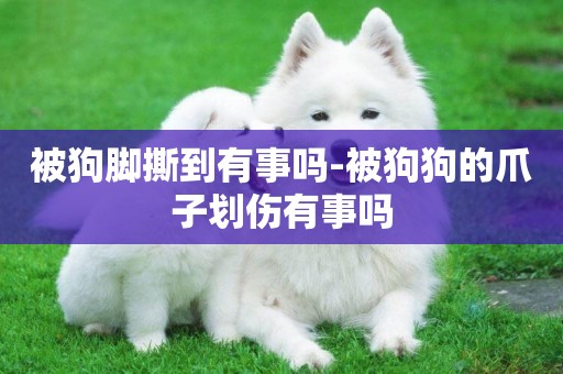 被狗腳撕到有事嗎-被狗狗的爪子劃傷有事嗎