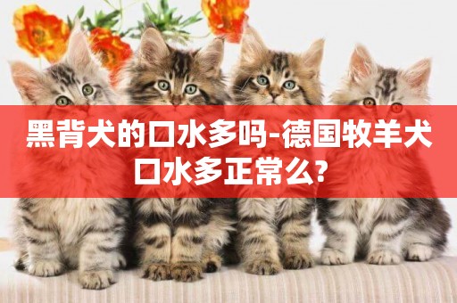黑背犬的口水多嗎-德國牧羊犬口水多正常么?