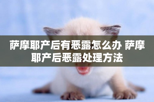 薩摩耶產后有惡露怎么辦 薩摩耶產后惡露處理方法