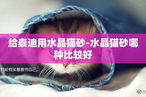 給泰迪用水晶貓砂-水晶貓砂哪種比較好