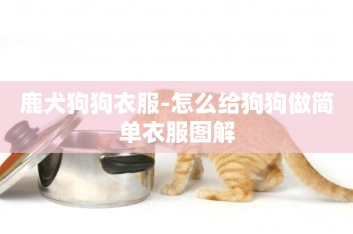 鹿犬狗狗衣服-怎么給狗狗做簡單衣服圖解