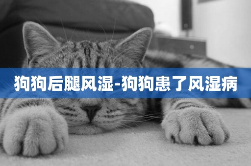 狗狗后腿風濕-狗狗患了風濕病