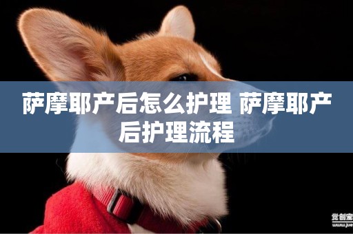 薩摩耶產后怎么護理 薩摩耶產后護理流程