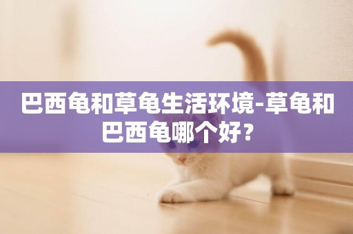 巴西龜和草龜生活環境-草龜和巴西龜哪個好？