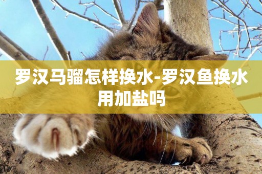羅漢馬騮怎樣換水-羅漢魚換水用加鹽嗎