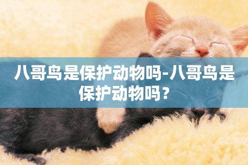八哥鳥是保護動物嗎-八哥鳥是保護動物嗎？