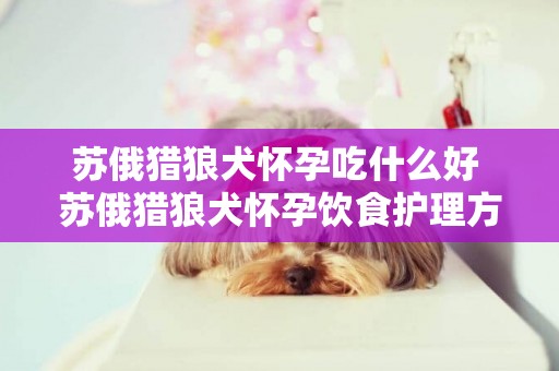 蘇俄獵狼犬懷孕吃什么好 蘇俄獵狼犬懷孕飲食護理方法