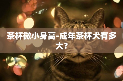 茶杯微小身高-成年茶杯犬有多大？