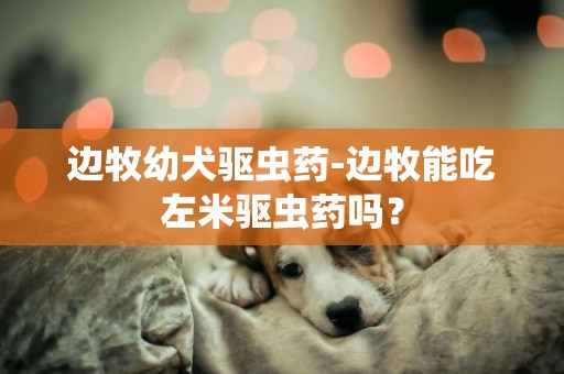 邊牧幼犬驅蟲藥-邊牧能吃左米驅蟲藥嗎？