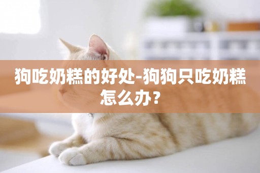 狗吃奶糕的好處-狗狗只吃奶糕怎么辦？
