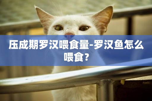 壓成期羅漢喂食量-羅漢魚怎么喂食？