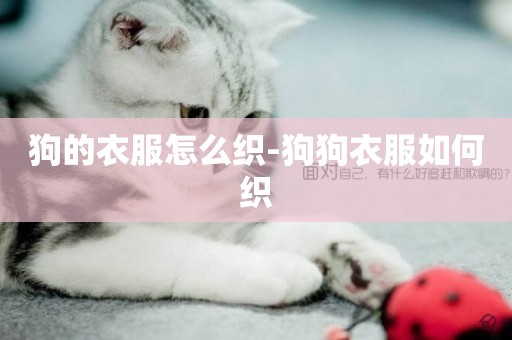 狗的衣服怎么織-狗狗衣服如何織