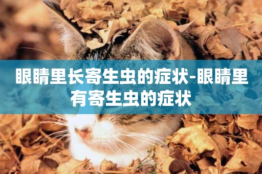 眼睛里長寄生蟲的癥狀-眼睛里有寄生蟲的癥狀