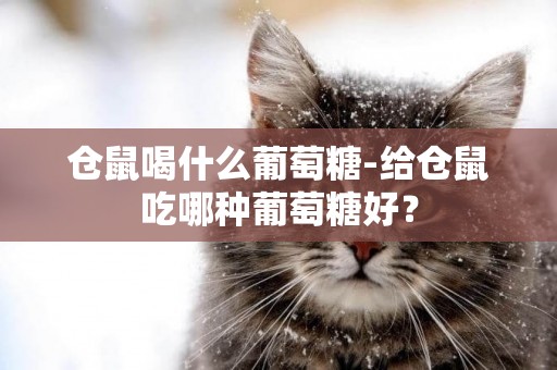 倉鼠喝什么葡萄糖-給倉鼠吃哪種葡萄糖好？
