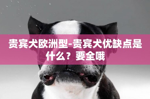 貴賓犬歐洲型-貴賓犬優缺點是什么？要全哦