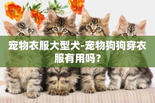 寵物衣服大型犬-寵物狗狗穿衣服有用嗎？
