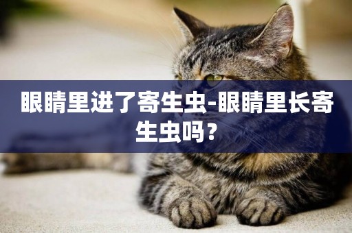 眼睛里進了寄生蟲-眼睛里長寄生蟲嗎？