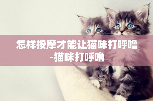 怎樣按摩才能讓貓咪打呼嚕-貓咪打呼嚕