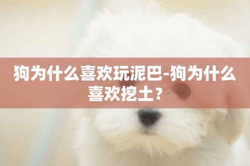 狗為什么喜歡玩泥巴-狗為什么喜歡挖土？