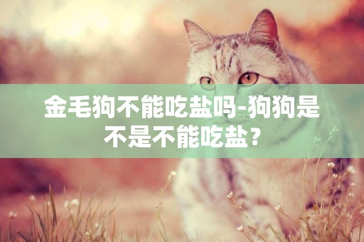 金毛狗不能吃鹽嗎-狗狗是不是不能吃鹽？