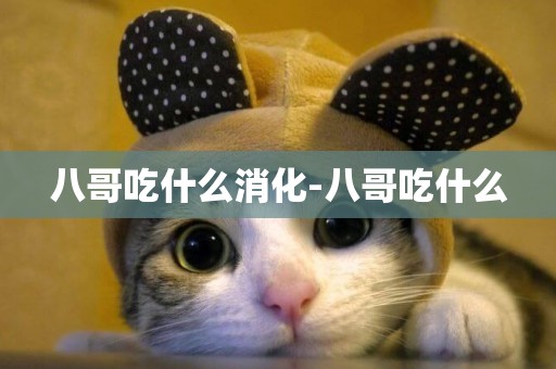 八哥吃什么消化-八哥吃什么