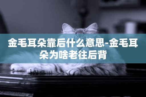 金毛耳朵靠后什么意思-金毛耳朵為啥老往后背