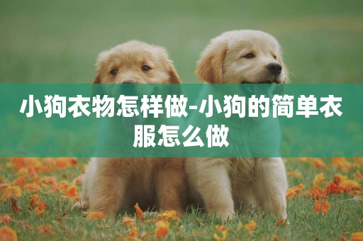 小狗衣物怎樣做-小狗的簡單衣服怎么做