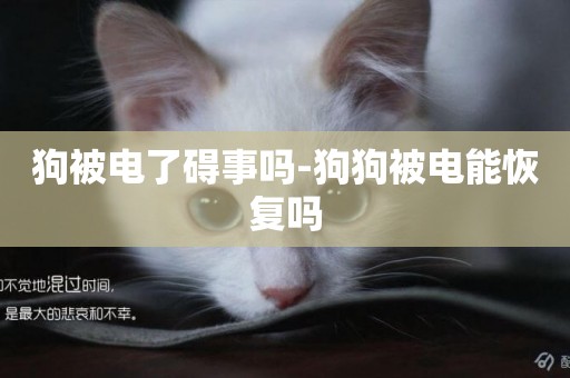 狗被電了礙事嗎-狗狗被電能恢復嗎