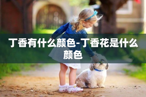 丁香有什么顏色-丁香花是什么顏色