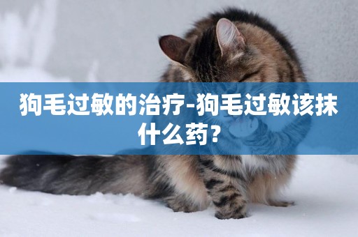 狗毛過敏的治療-狗毛過敏該抹什么藥？