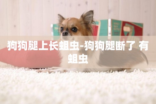 狗狗腿上長蛆蟲-狗狗腿斷了 有蛆蟲