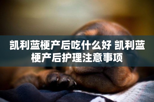 凱利藍梗產后吃什么好 凱利藍梗產后護理注意事項