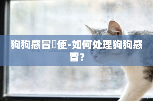 狗狗感冒糞便-如何處理狗狗感冒？