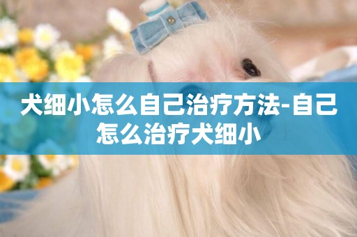 犬細小怎么自己治療方法-自己怎么治療犬細小