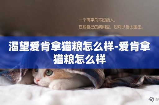 渴望愛肯拿貓糧怎么樣-愛肯拿貓糧怎么樣