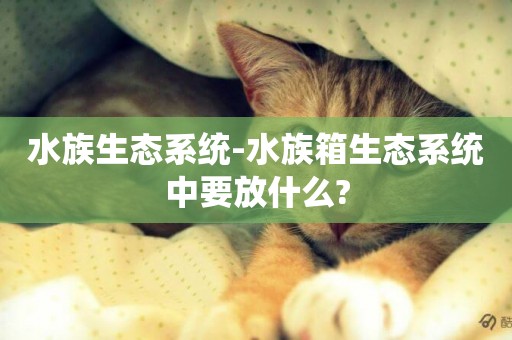 水族生態系統-水族箱生態系統中要放什么?