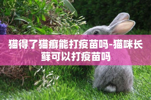 貓得了貓癬能打疫苗嗎-貓咪長蘚可以打疫苗嗎