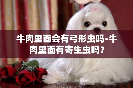 牛肉里面會有弓形蟲嗎-牛肉里面有寄生蟲嗎？