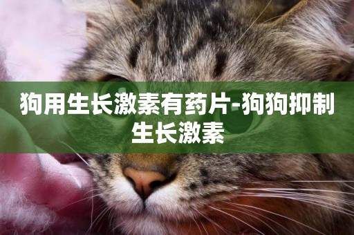 狗用生長激素有藥片-狗狗抑制生長激素