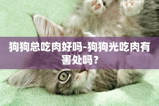 狗狗總吃肉好嗎-狗狗光吃肉有害處嗎？