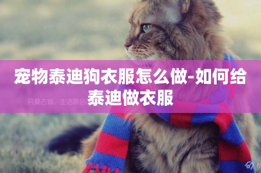 寵物泰迪狗衣服怎么做-如何給泰迪做衣服