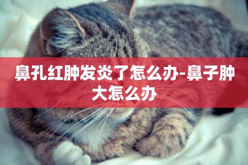 鼻孔紅腫發炎了怎么辦-鼻子腫大怎么辦