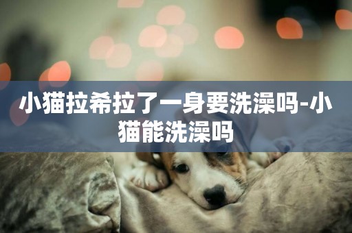小貓拉希拉了一身要洗澡嗎-小貓能洗澡嗎