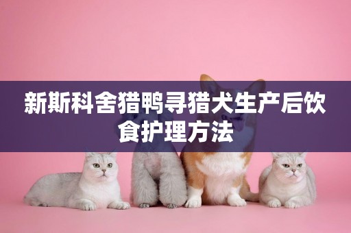 新斯科舍獵鴨尋獵犬生產后飲食護理方法