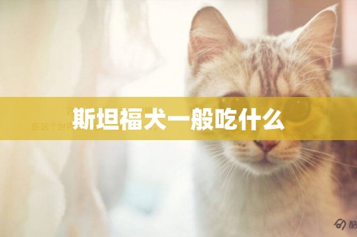 斯坦福犬一般吃什么