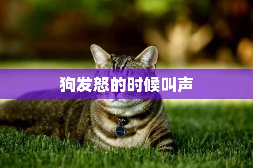 狗發怒的時候叫聲