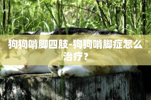狗狗啃腳四肢-狗狗啃腳癥怎么治療？