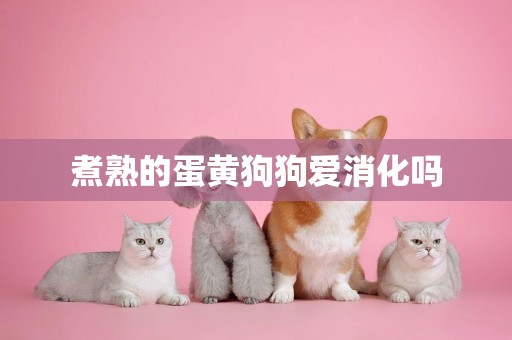 煮熟的蛋黃狗狗愛消化嗎