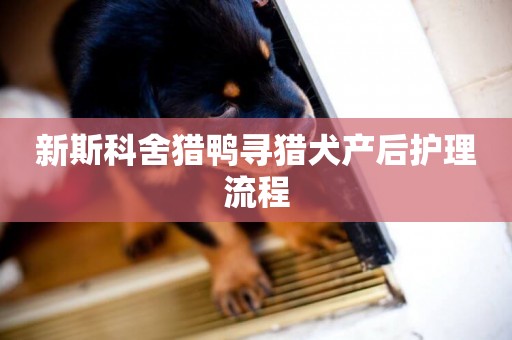 新斯科舍獵鴨尋獵犬產后護理流程