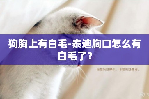 狗胸上有白毛-泰迪胸口怎么有白毛了？
